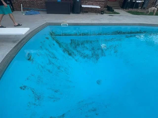 how-to-remove-stains-from-a-fiberglass-pool